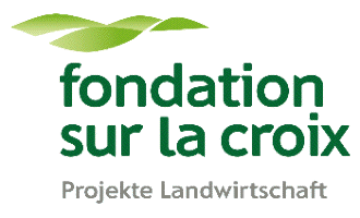 Fondation sur la croix